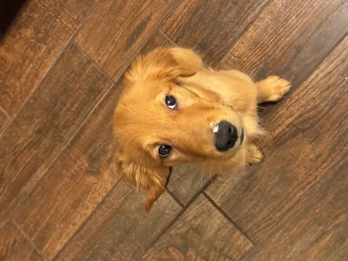 Oakley
